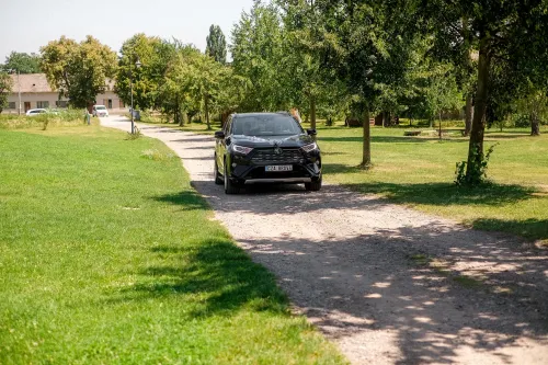 Eliška & Toník, Dvůr Honětice